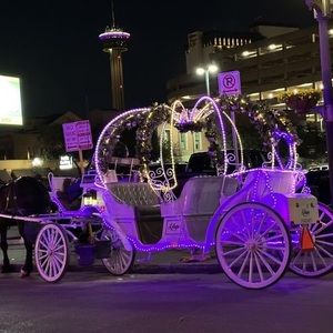 Meet your Posher, Debbie